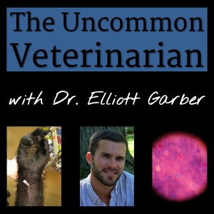 User Podcast Logo