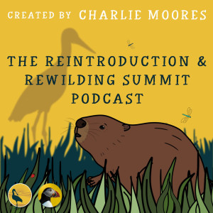 User Podcast Logo