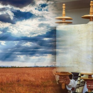 Tranquility in Torah the Ultra Healthy YOU way