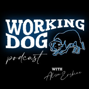 The Working Dog Podcast