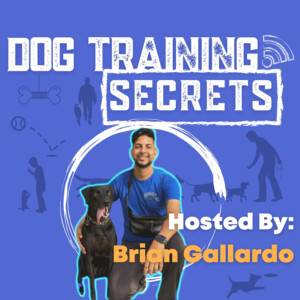 Dog Training Secrets