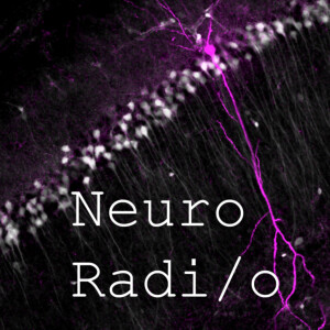 User Podcast Logo