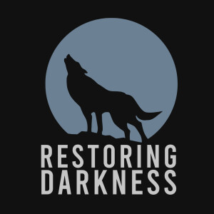 User Podcast Logo