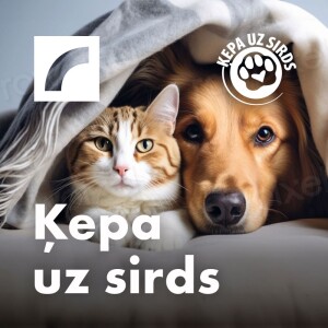 User Podcast Logo