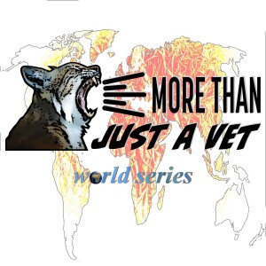 More than just a vet - Veterinary Life Journeys
