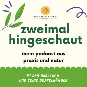 User Podcast Logo