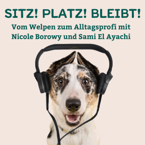 User Podcast Logo