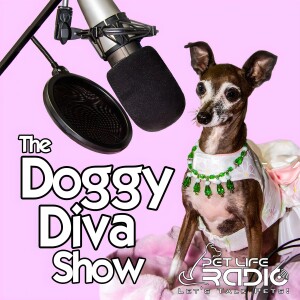 User Podcast Logo