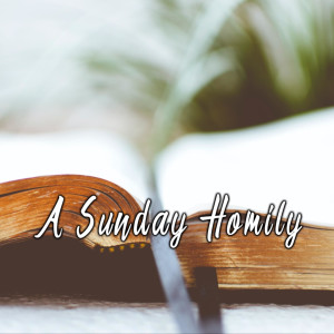 Sunday Mass Homilies