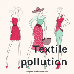 Textile pollution