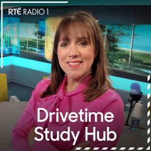 Study Hub: Leaving Cert 2024 Exam Tips