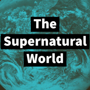 User Podcast Logo