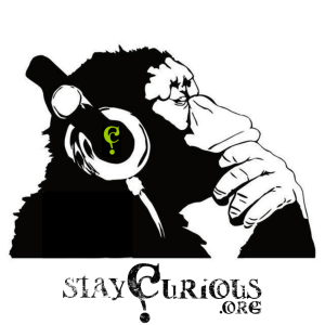 staycurious.org Presents
