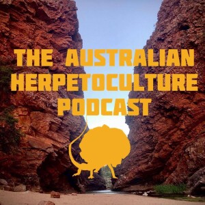 Episode Logo