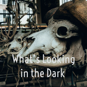 What's Looking in the Dark