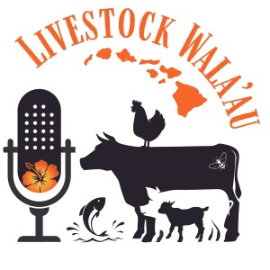 User Podcast Logo