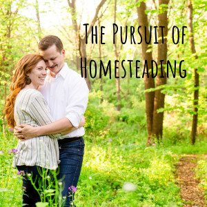 The Pursuit of Homesteading