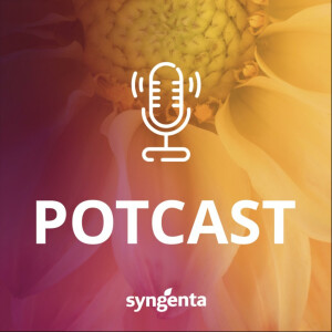 User Podcast Logo