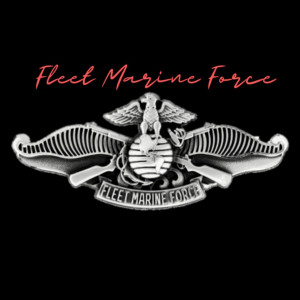 Fleet Marine Force