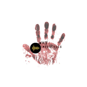 User Podcast Logo