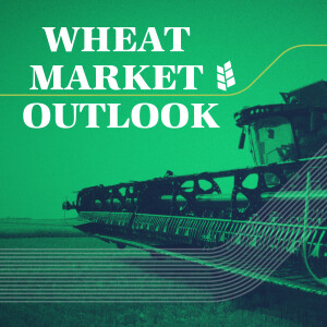 Wheat Market Outlook