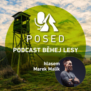 User Podcast Logo