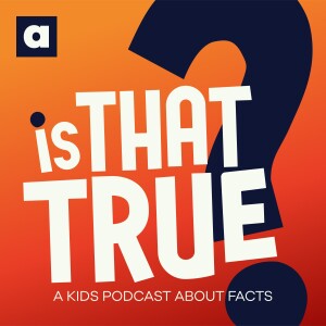 User Podcast Logo