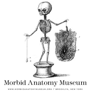 The Morbid Anatomy Transmission
