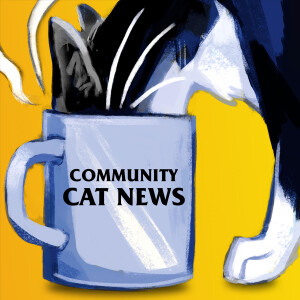 Community Cat News