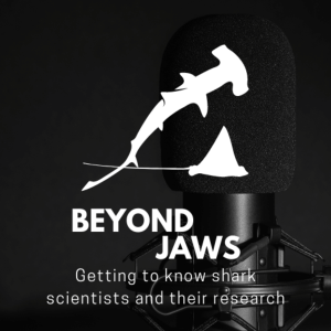 User Podcast Logo