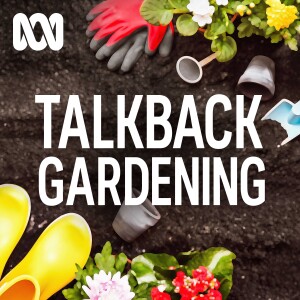 ABC Adelaide’s Talkback Gardening