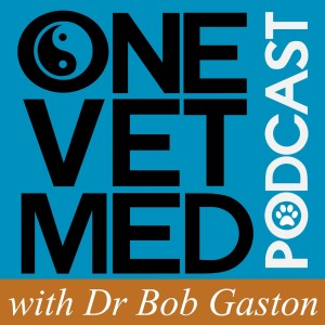 User Podcast Logo