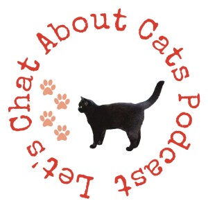 User Podcast Logo