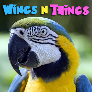 WingsNThings - Birds & Parrots as Pets - All About Pet Birds - Pets & Animals on Pet Life Radio (PetLifeRadio.com)