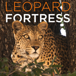 Leopard Fortress (HD)