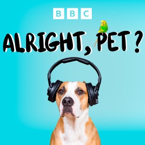 Episode Logo