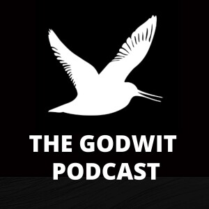 The Godwit Podcast