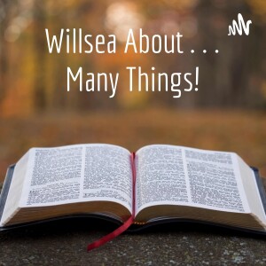 Willsea About . . . Many Things!