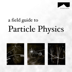 The Field Guide to Particle Physics