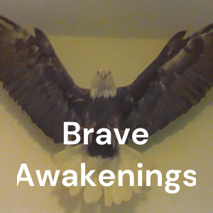 Brave Awakenings