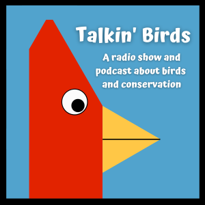 Talkin’ Birds