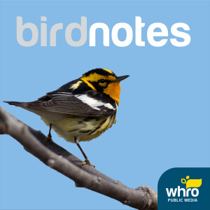 BirdNotes