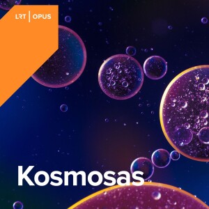 User Podcast Logo