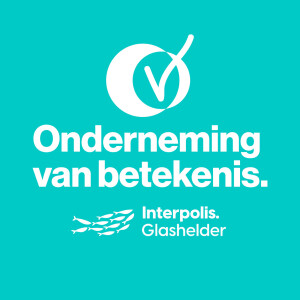Onderneming van Betekenis