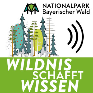 Wildnis schafft Wissen – Einblicke in den Nationalpark Bayerischer Wald