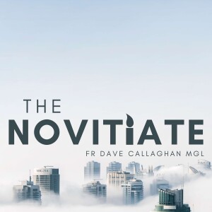 The Novitiate