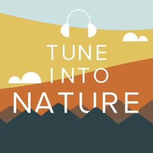 User Podcast Logo
