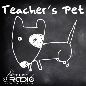 Teacher’s Pet Podcast - Training Pets & Pet Obedience  - Pets & Animals on Pet Life Radio (PetLifeRadio.com)