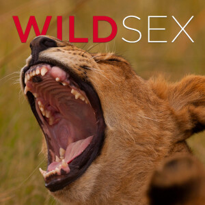 Wild Sex (HD)
