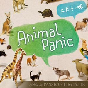 Animal Panic - PassionTimes Podcast